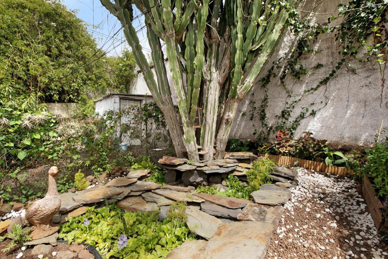 Apartamento Jardin Del Sol تاكورونتي المظهر الخارجي الصورة